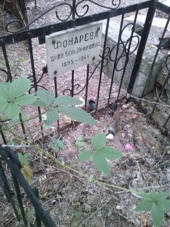 Фонарева Ципа Беньяминовна, Саратов, Еврейское кладбище